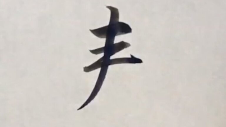 <書道・習字の手本> 「寿(kotobuki)」 書き方のポイントを師範が手書き画像で解説 | 充実ライフをすごそうぜっ!